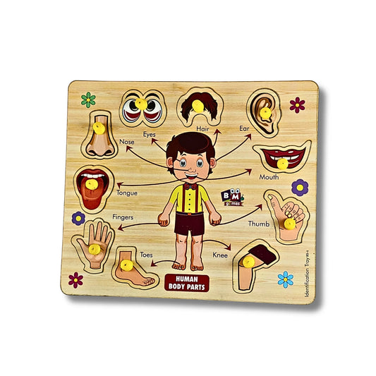 Wooden Educational Puzzle Board for Kids – Numbers, Fruits, Shapes & Body Parts Learning Toy