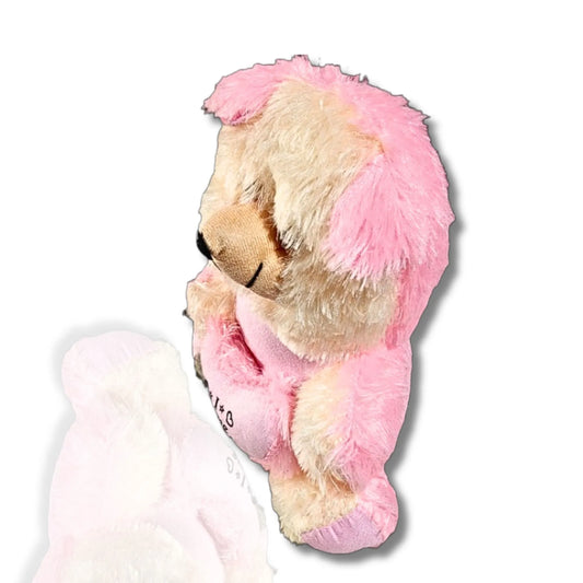 32cm Adorable Pink Teddy Bear with “For Someone Special” Heart Cushion | Soft Plush Teddy Gift for Kids, Girls & Loved Ones