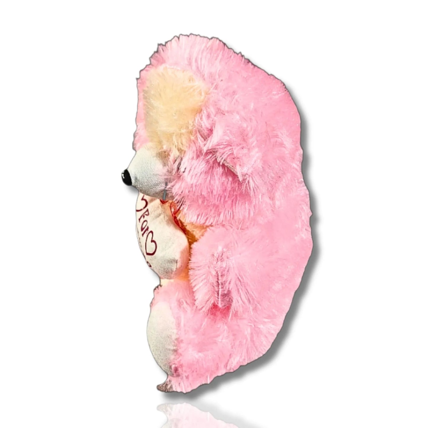 32cm Adorable Pink Teddy Bear with “For Someone Special” Heart Cushion | Soft Plush Teddy Gift for Kids, Girls & Loved Ones