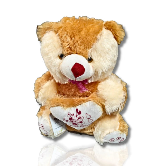 Plush teddy bear with a heart-shaped pillow on a white background