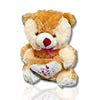 50cm Adorable Teddy Bear with Heart Cushion | Soft Plush Teddy Bear Toy for Kids & Girlfriend | Cute Hugging Teddy Bear Gift