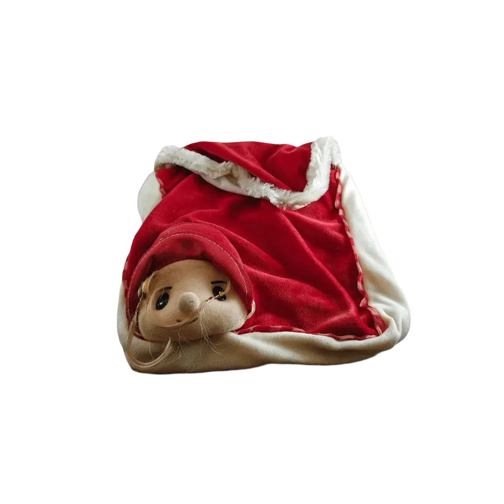 Small animal toy wrapped in a red blanket on a white background