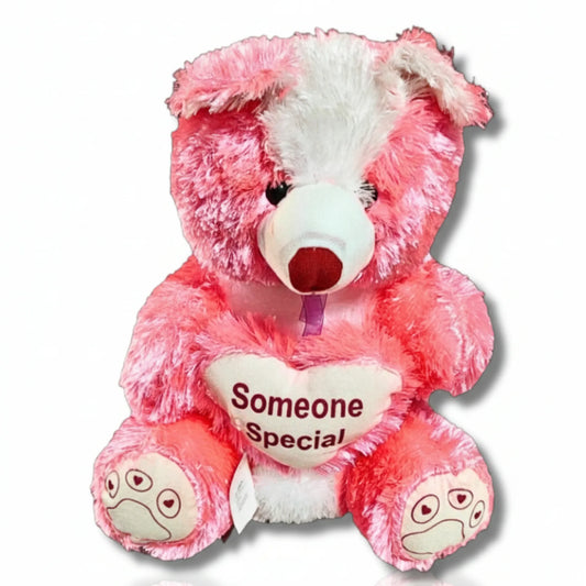 Pink Someone Special Teddy Bear with Heart Cushion | Soft Plush Teddy Bear Gift for Girls, Kids & Loved Ones