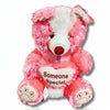 Pink Someone Special Teddy Bear with Heart Cushion | Soft Plush Teddy Bear Gift for Girls, Kids & Loved Ones