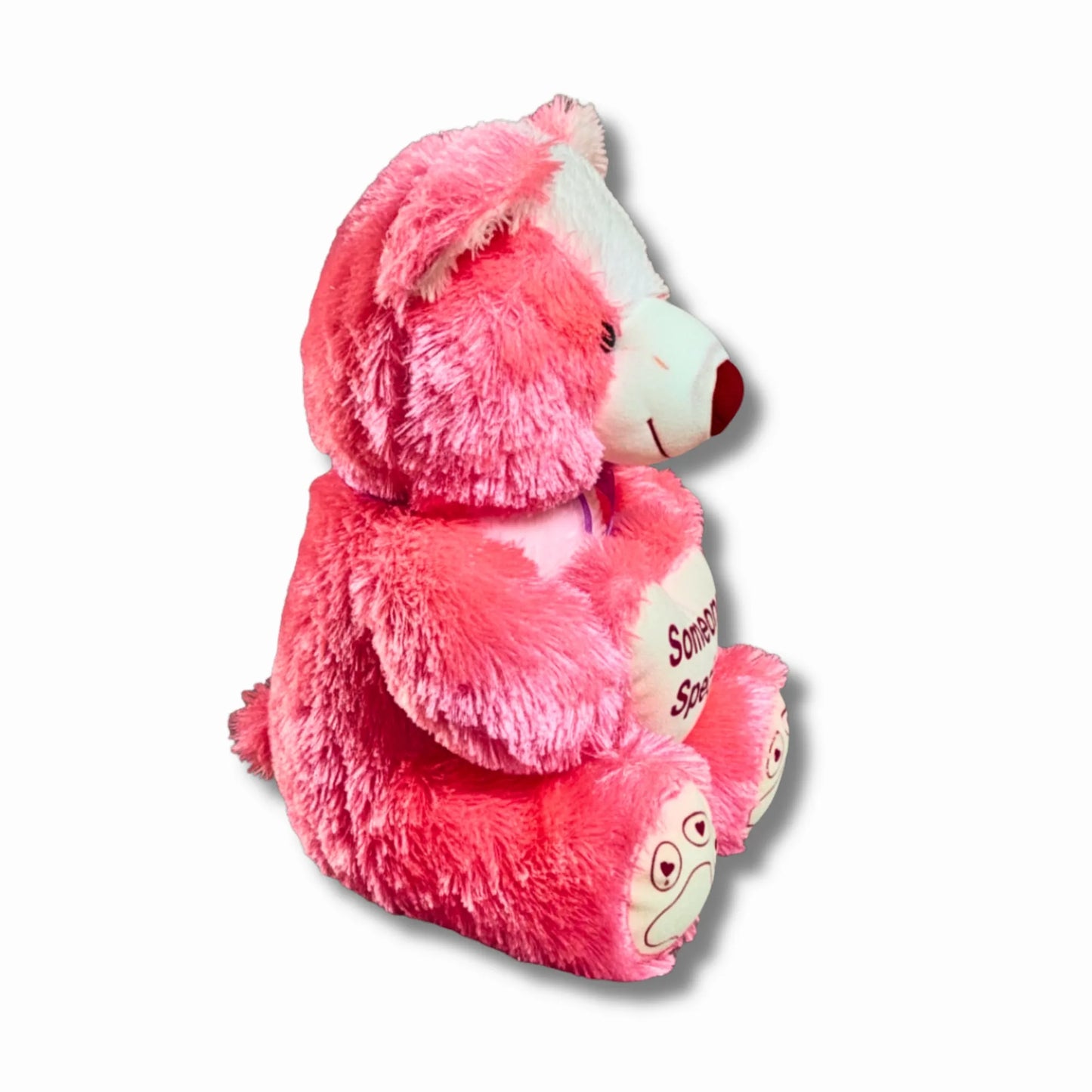 Pink Someone Special Teddy Bear with Heart Cushion | Soft Plush Teddy Bear Gift for Girls, Kids & Loved Ones