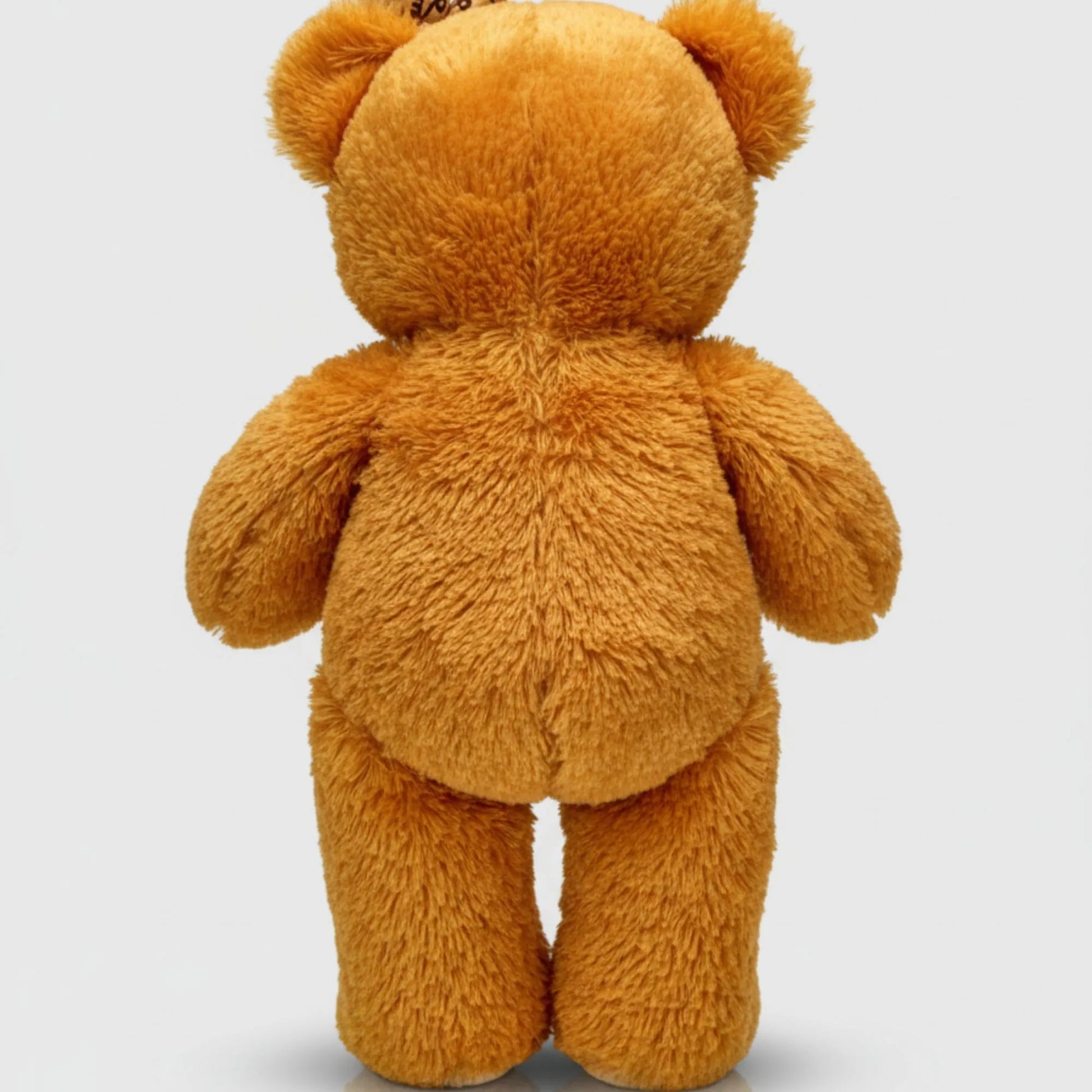 Brown teddy bear on a white background