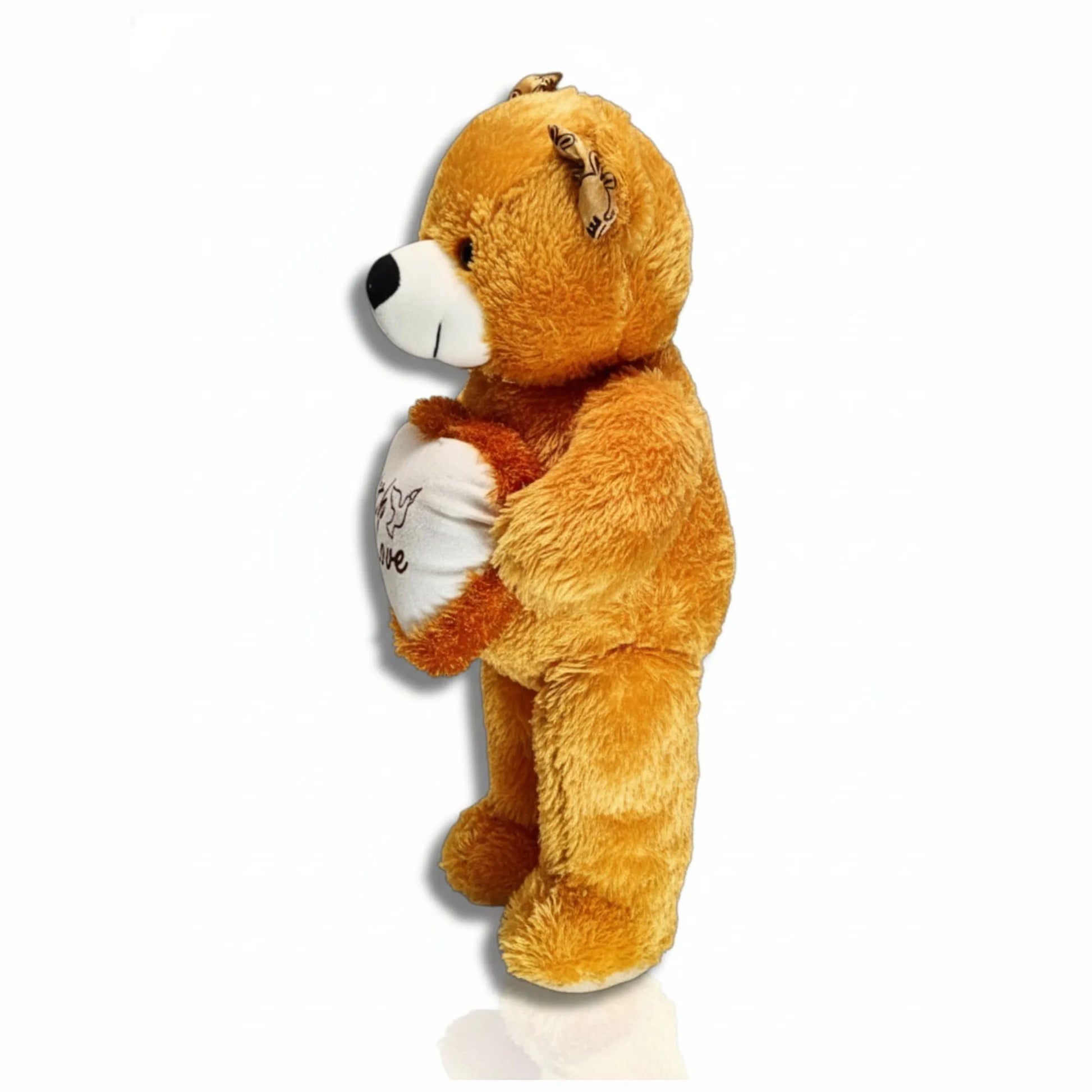 Plush teddy bear holding a heart with 'I love you' on a white background